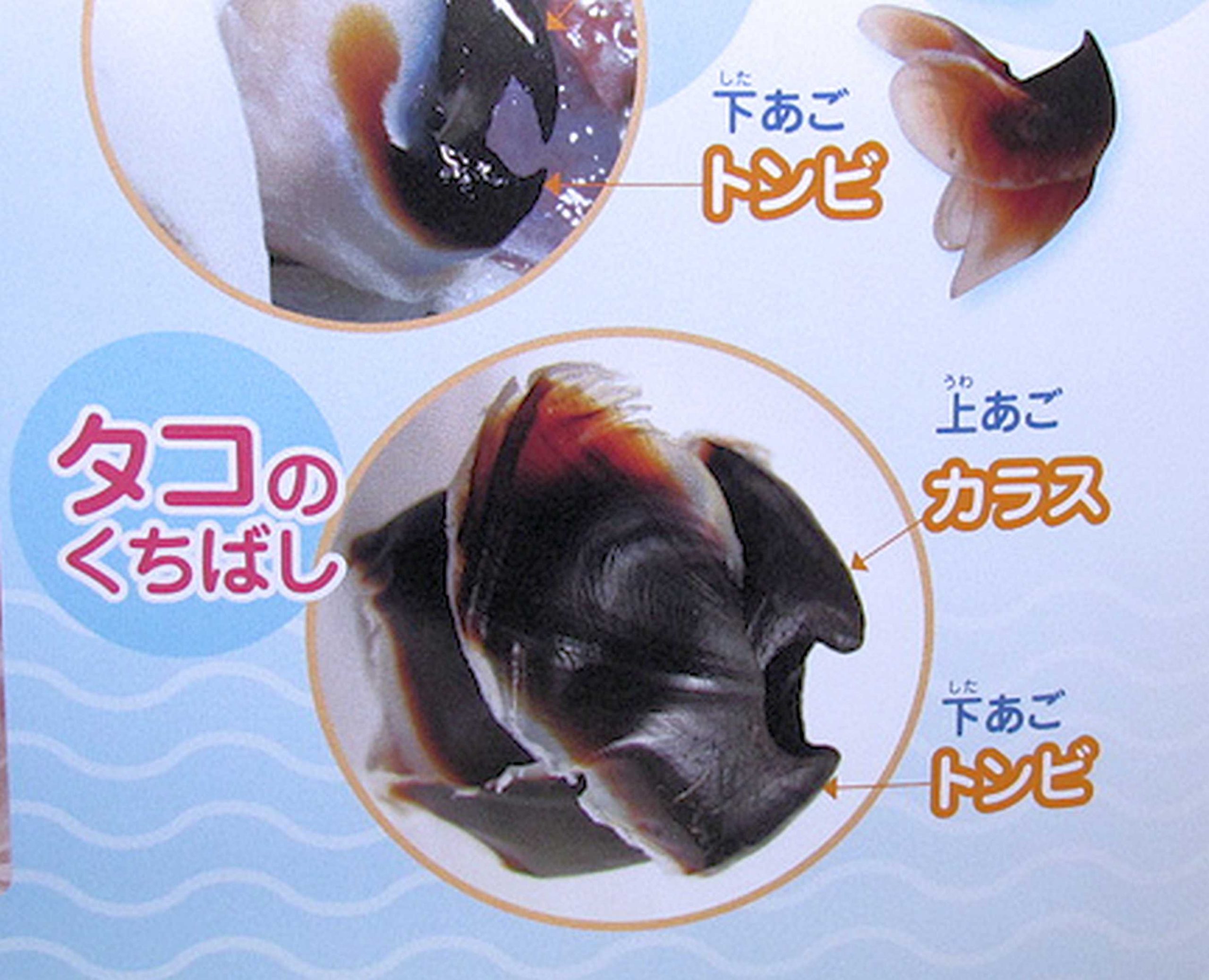 悪魔の食べ物 酒のつまみ 珍味中の珍味 たこの口 タコトンビとは X Eichan S Japanese Channel