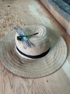 自然界においての”Fight or Flight”!!-“おにやんま”の模型-おそらく正規版の”おにやんま君”のオマージュ品のレビュー!!